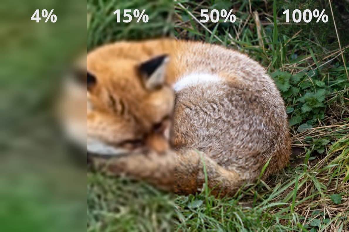 Chrome Surrenders to JPEG XL — and the Web Gets a 20% Shrink-Ray