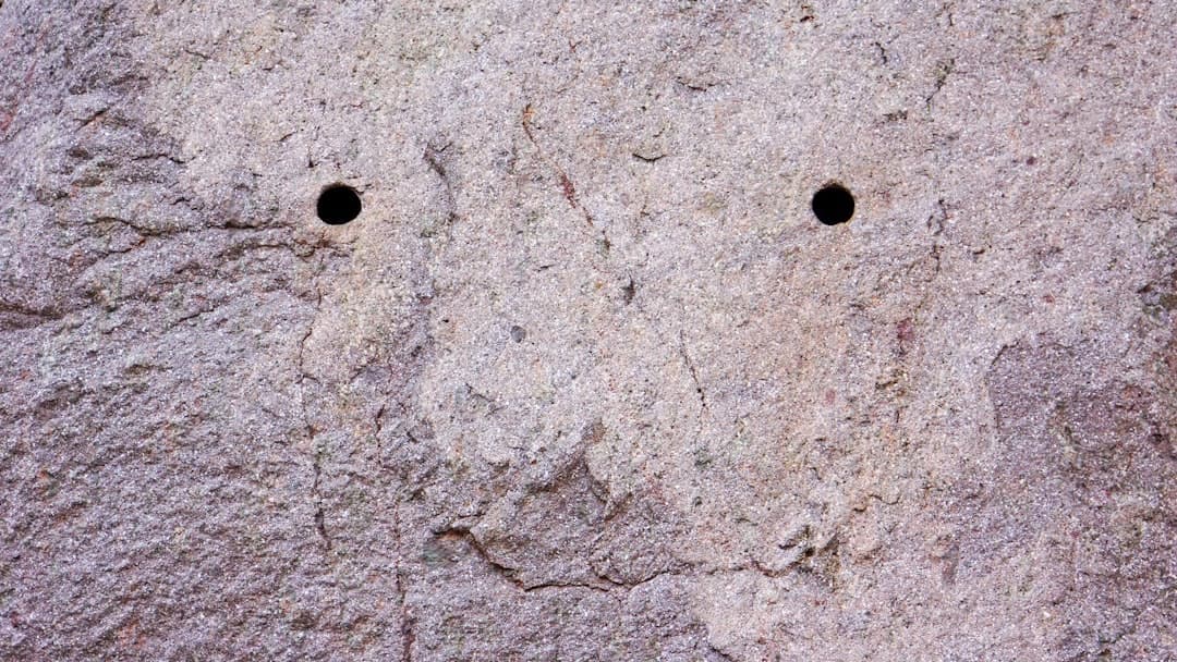 Leopold Aschenbrenner and the Art of Profiting From the Apocalypse