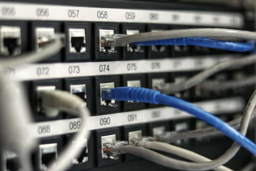 Portabilidad y el futuro de los datos de la IA