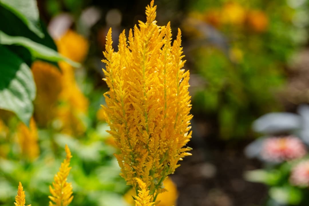 The New Rules of Power