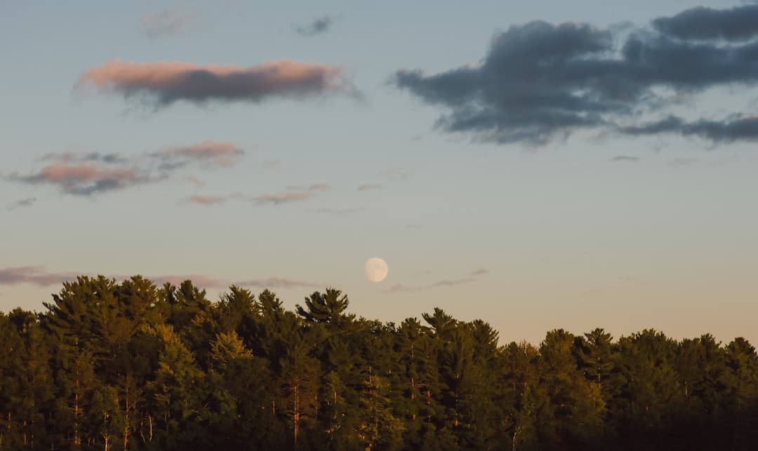 Navigating the New Lunar Reality